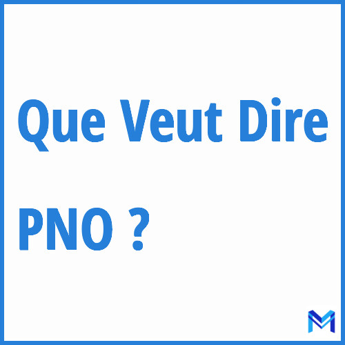 L Essentiel sur l Assurance Propriétaire Non Occupant PNO