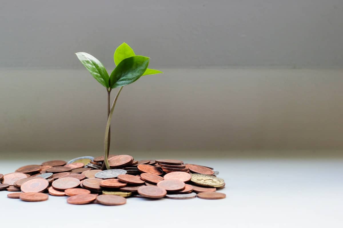 Securimut avis assurance emprunteur 2026
